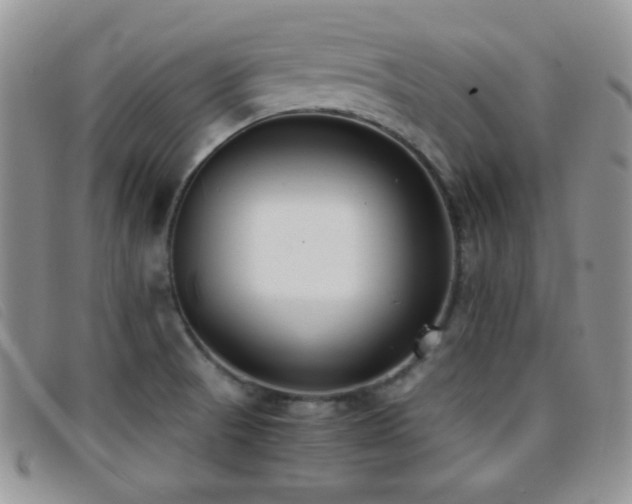 X0000096671521200802051211