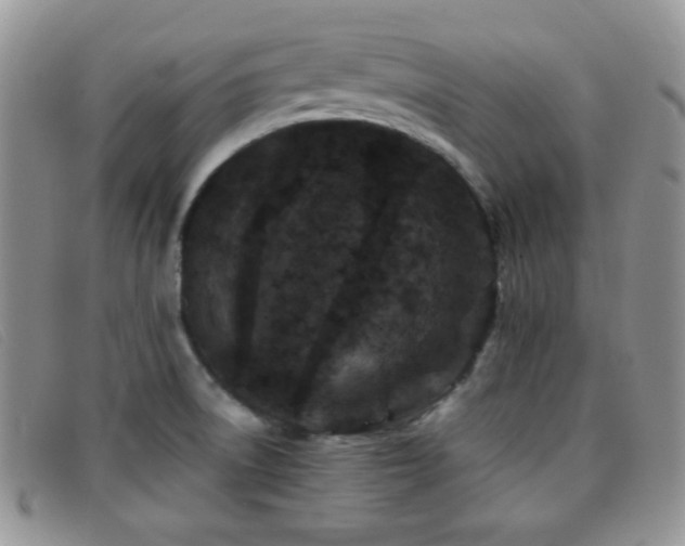 X0000096671522200802051211