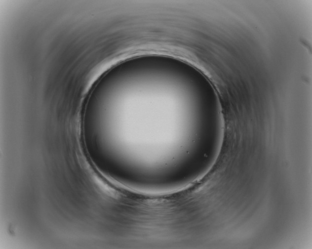 X0000096671523200802051211