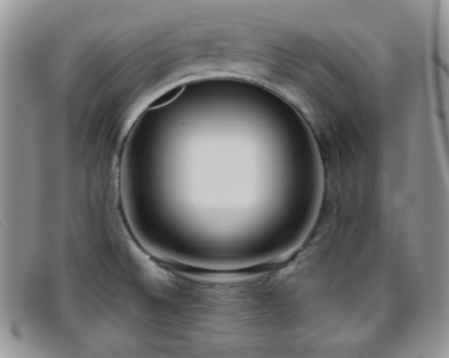 X0000096671524200802051211