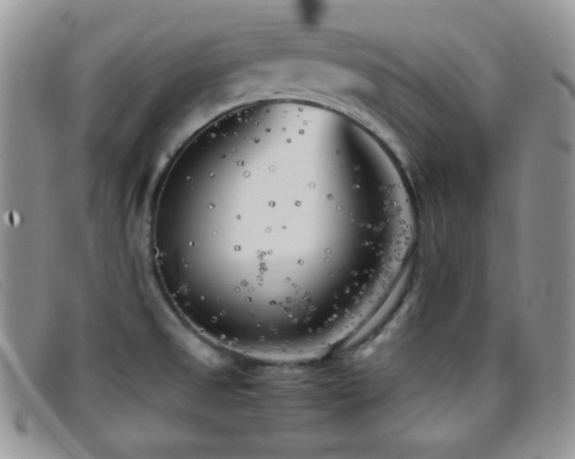 X0000096671525200802051211