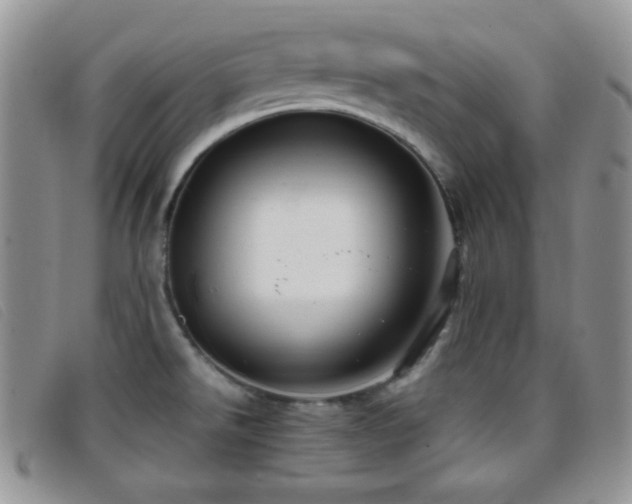 X0000096671526200802051211