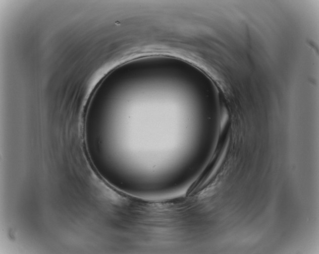 X0000096671527200802051211