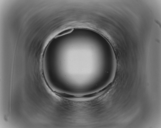 X0000096671528200802051211