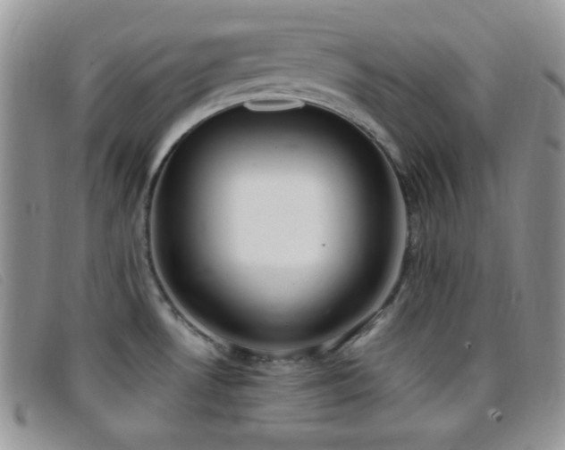 X0000096671530200802051211