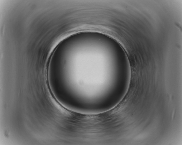 X0000096671531200802051211