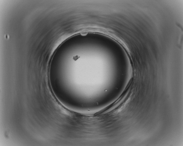 X0000096671533200802051211