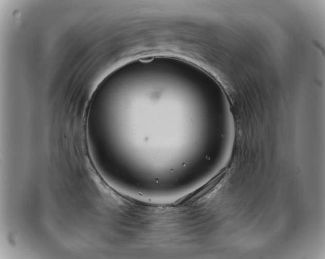 X0000096671534200802051211