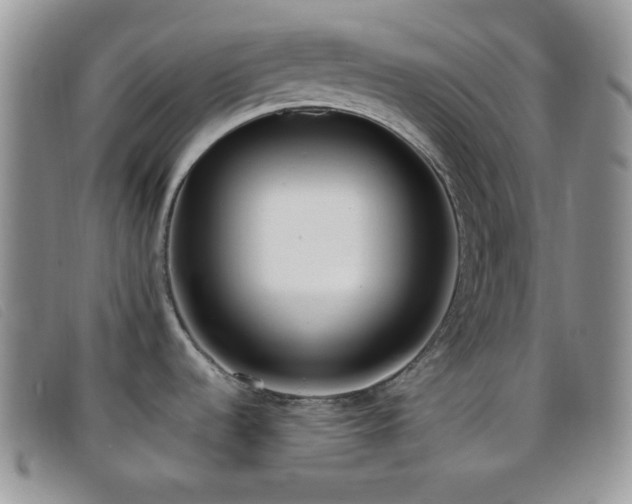 X0000096671536200802051211