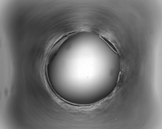 X0000096670001200802121201
