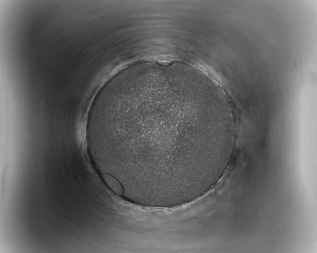 X0000096670002200802121201