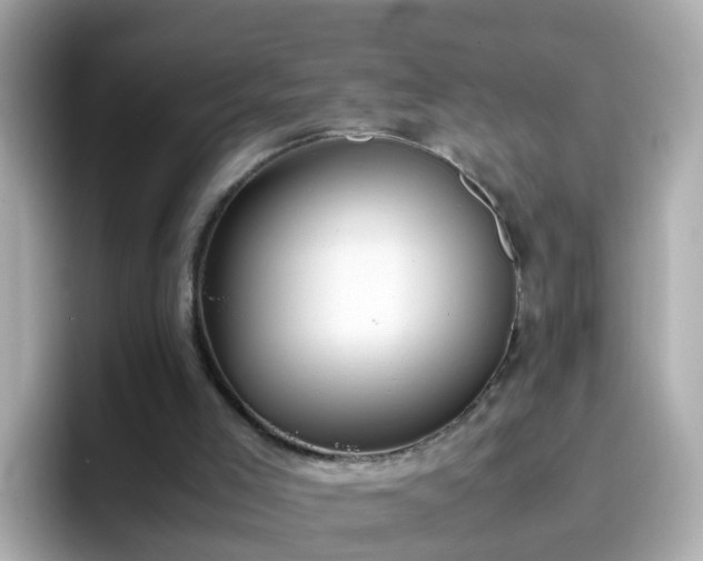 X0000096670005200802121200