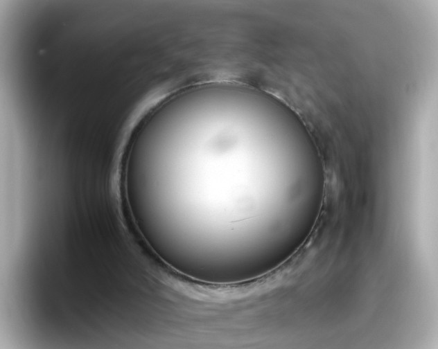 X0000096670006200802121200