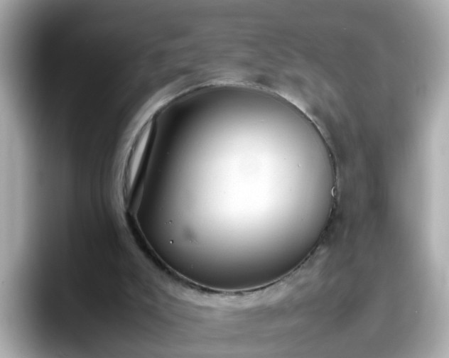 X0000096670007200802121200