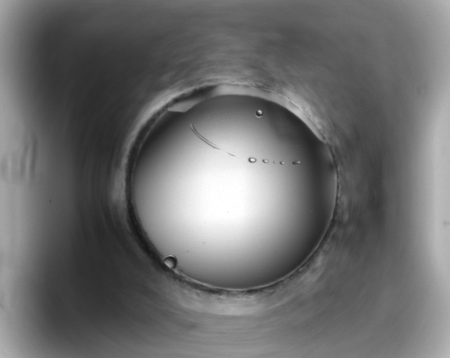 X0000096670008200802121200