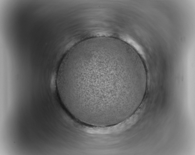 X0000096670009200802121200