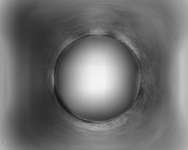 X0000096670011200802121200