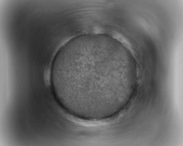 X0000096670012200802121200