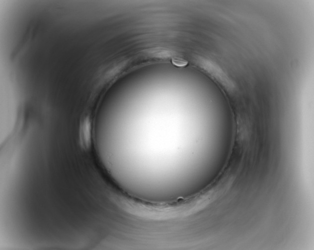 X0000096670014200802121200