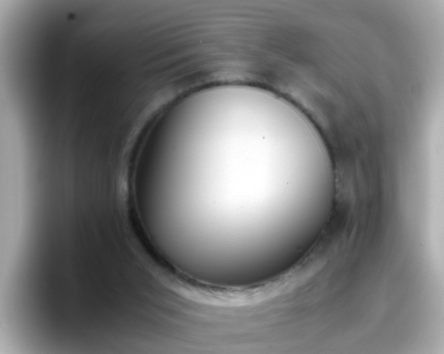 X0000096670015200802121200