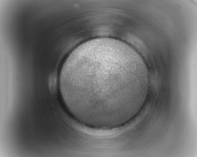 X0000096670016200802121200