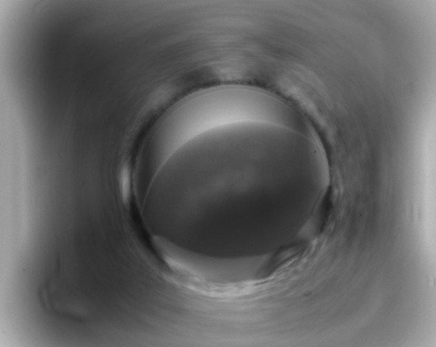X0000096670019200802121200
