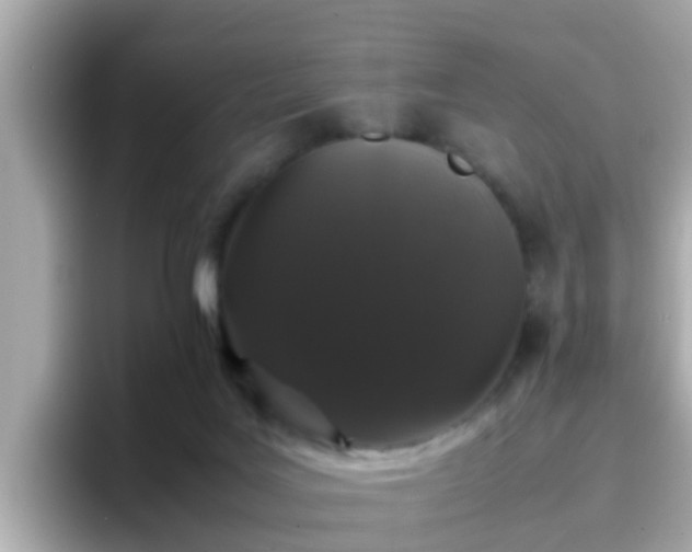 X0000096670027200802121200