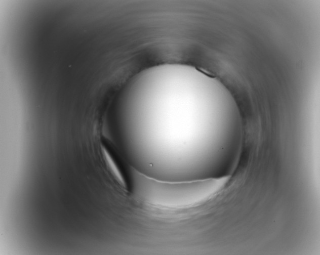 X0000096670029200802121200