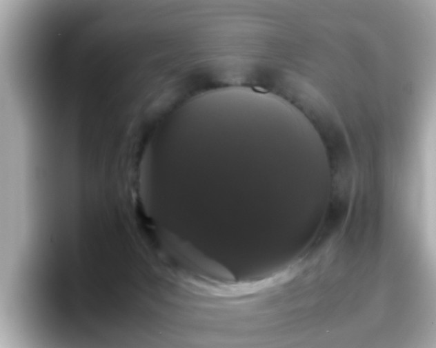 X0000096670031200802121200