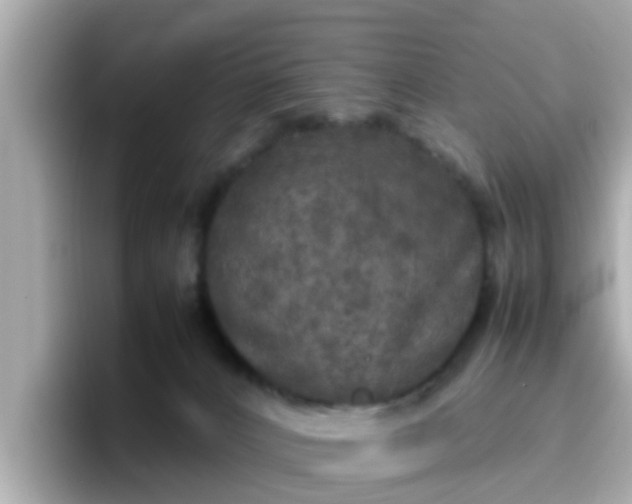 X0000096670032200802121200
