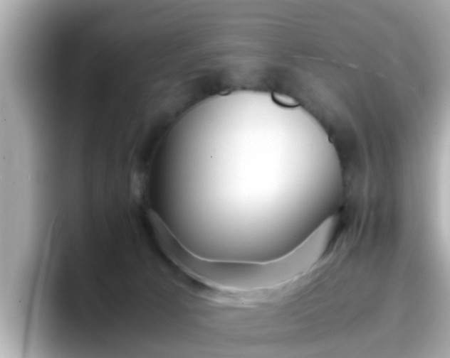 X0000096670033200802121200