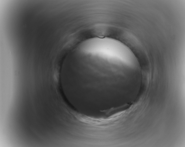 X0000096670035200802121200
