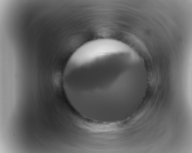 X0000096670036200802121200