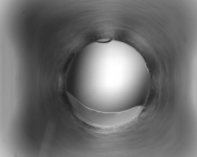 X0000096670037200802121200
