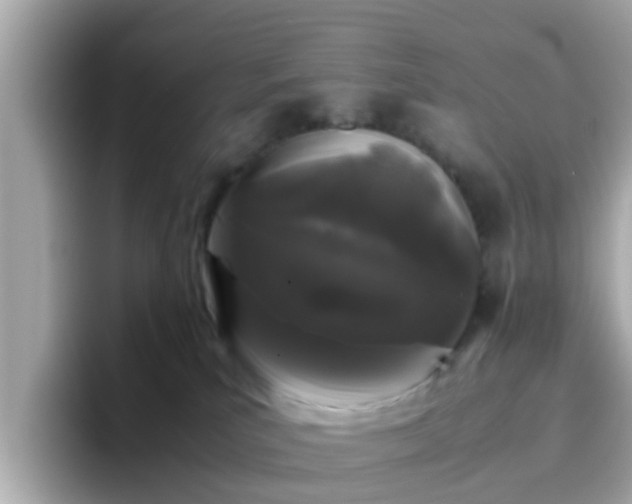 X0000096670039200802121200