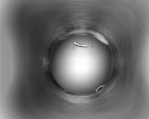 X0000096670040200802121200