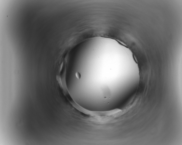X0000096670041200802121200