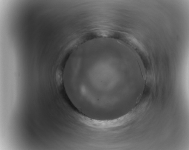 X0000096670043200802121200