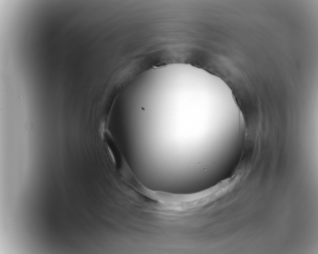 X0000096670045200802121200