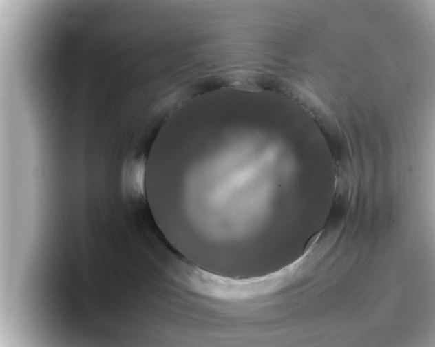 X0000096670047200802121200