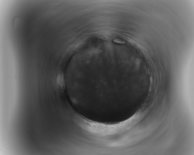 X0000096670048200802121200