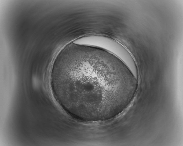 X0000096670049200802121159