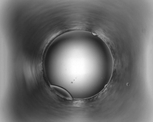 X0000096670050200802121159