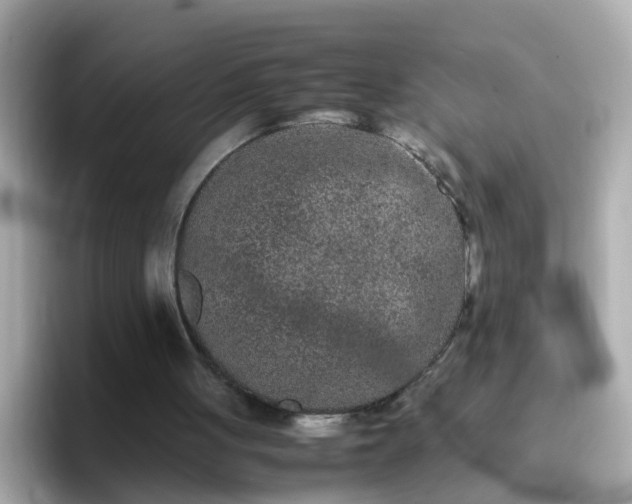 X0000096670051200802121159
