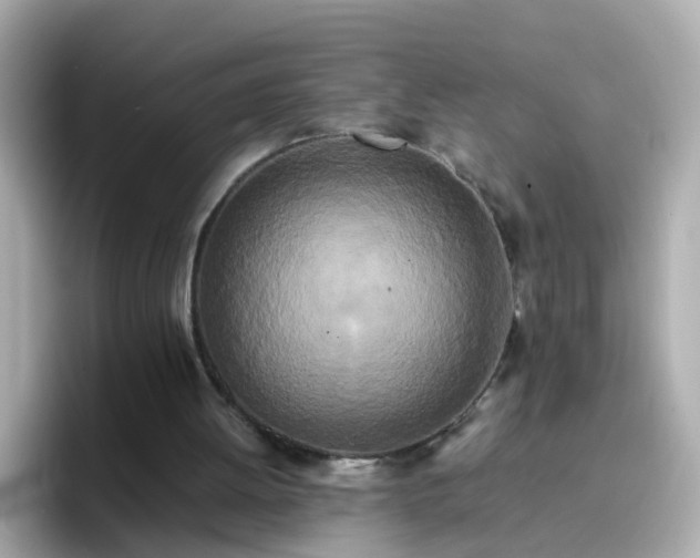 X0000096670052200802121159