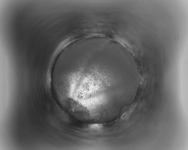 X0000096670053200802121159