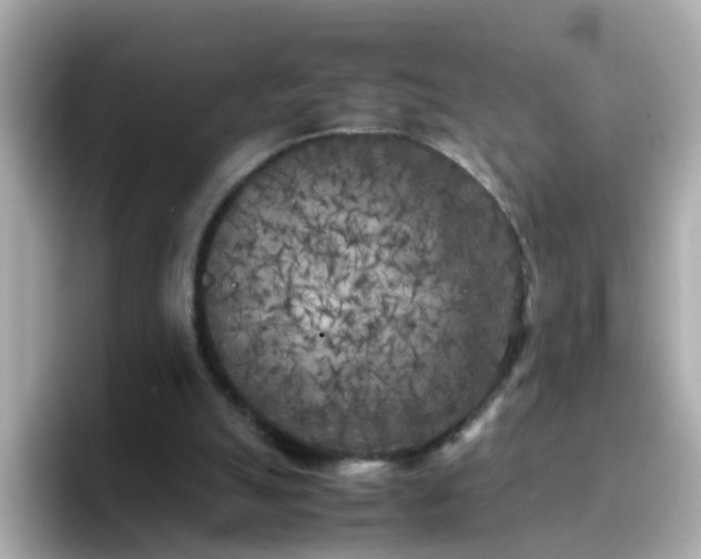 X0000096670055200802121159