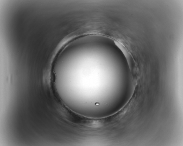 X0000096670056200802121159