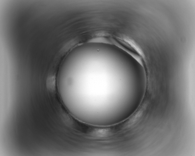 X0000096670057200802121159