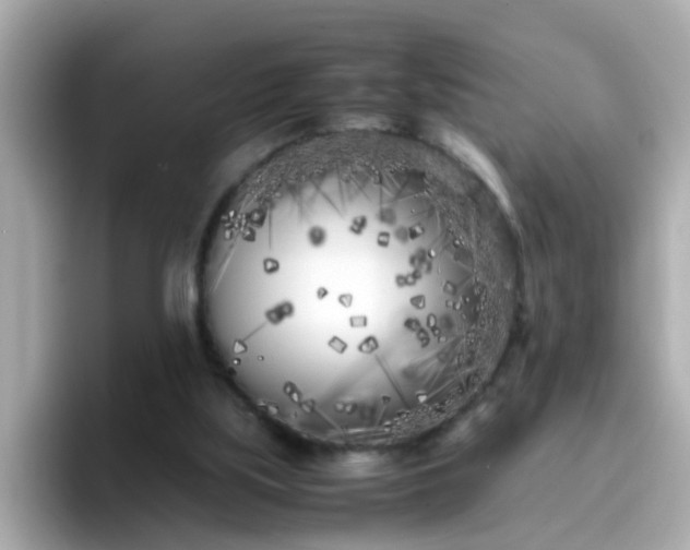X0000096670059200802121159